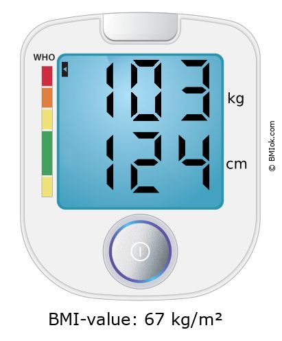 BMI 103 kg and 124 cm on the BMI calculator