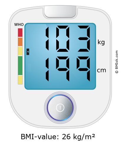 BMI 103 kg and 199 cm on the BMI calculator