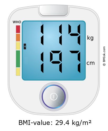 BMI 114 kg and 197 cm on the BMI calculator
