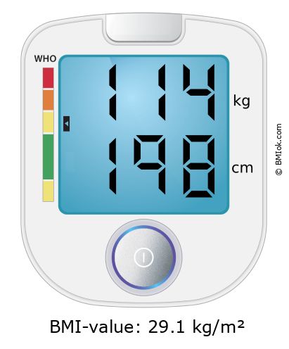 BMI 114 kg and 198 cm on the BMI calculator