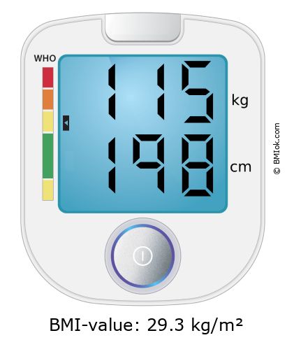 BMI 115 kg and 198 cm on the BMI calculator