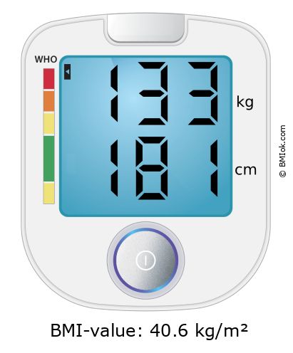 BMI 133 kg and 181 cm on the BMI calculator