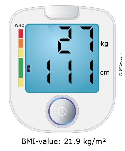BMI 27 kg and 111 cm on the BMI calculator
