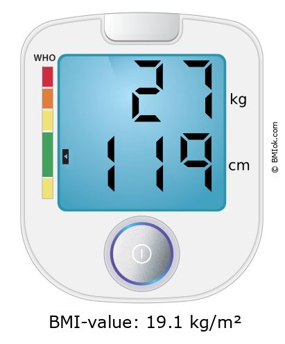 BMI 27 kg and 119 cm on the BMI calculator