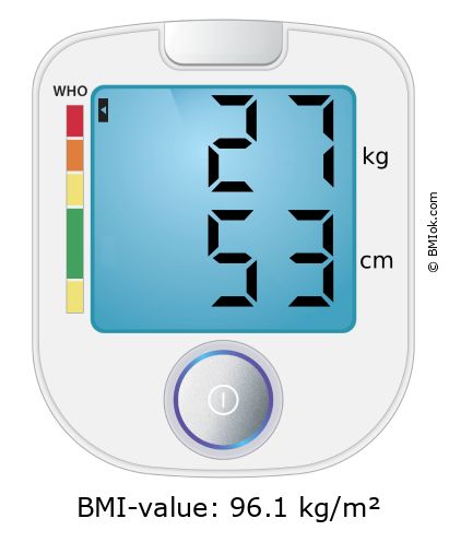 BMI 27 kg and 53 cm on the BMI calculator