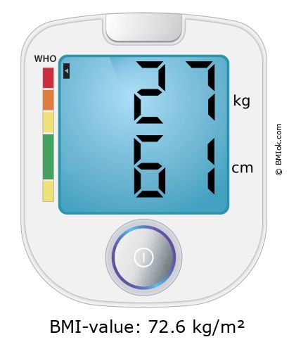 BMI 27 kg and 61 cm on the BMI calculator