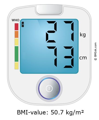 BMI 27 kg and 73 cm on the BMI calculator