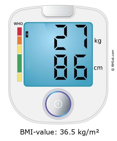 BMI 27 kg and 86 cm on the BMI calculator