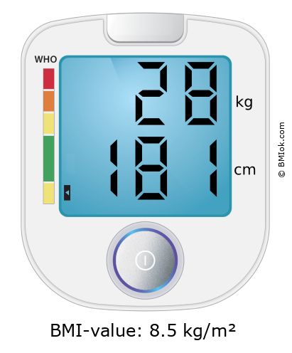 BMI 28 kg and 181 cm on the BMI calculator