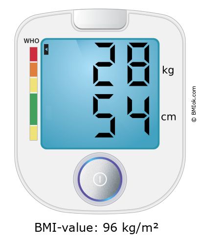 BMI 28 kg and 54 cm on the BMI calculator