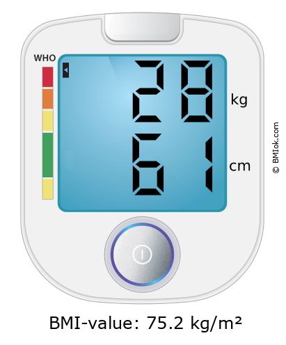 BMI 28 kg and 61 cm on the BMI calculator