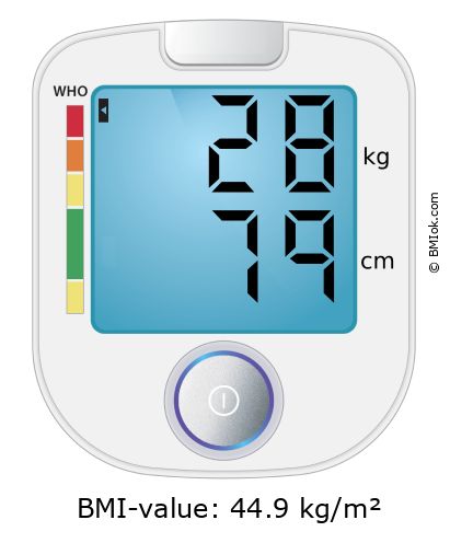 BMI 28 kg and 79 cm on the BMI calculator