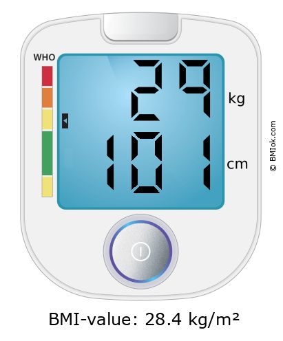 BMI 29 kg and 101 cm on the BMI calculator