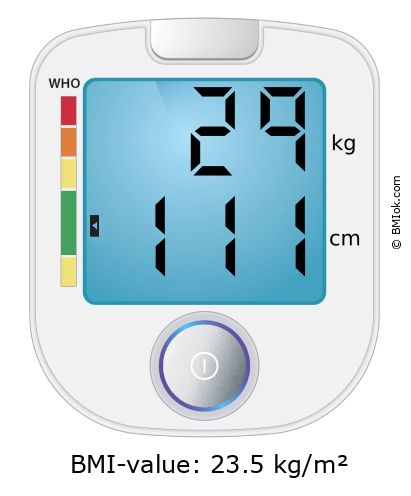 BMI 29 kg and 111 cm on the BMI calculator