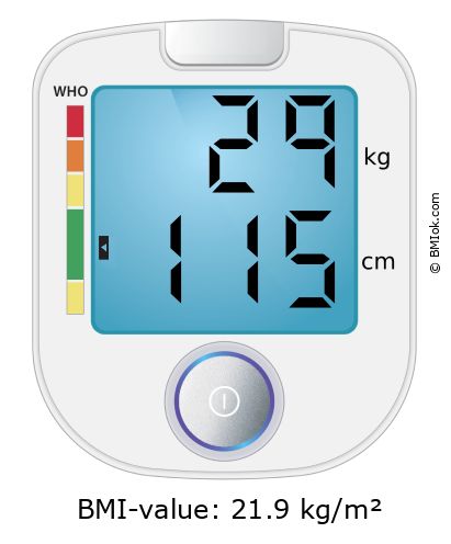 BMI 29 kg and 115 cm on the BMI calculator