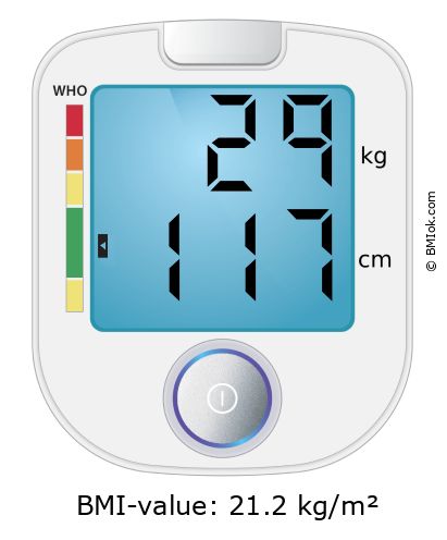 BMI 29 kg and 117 cm on the BMI calculator
