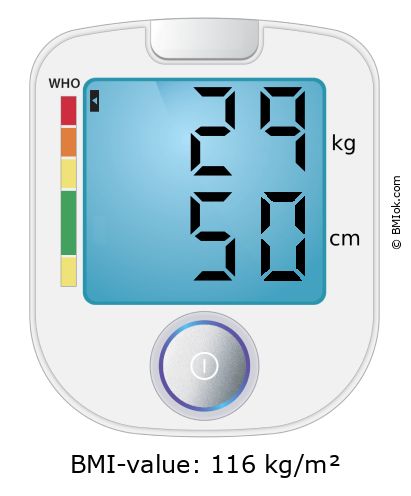 BMI 29 kg and 50 cm on the BMI calculator