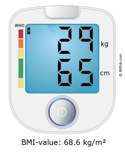 BMI 29 kg and 65 cm on the BMI calculator