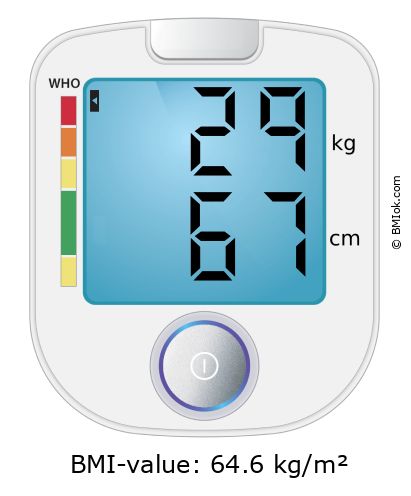 BMI 29 kg and 67 cm on the BMI calculator