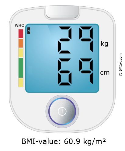 BMI 29 kg and 69 cm on the BMI calculator