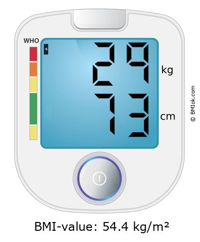 BMI 29 kg and 73 cm on the BMI calculator