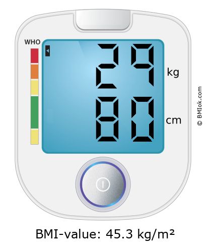 BMI 29 kg and 80 cm on the BMI calculator
