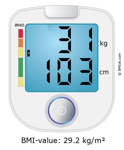 BMI 31 kg and 103 cm on the BMI calculator