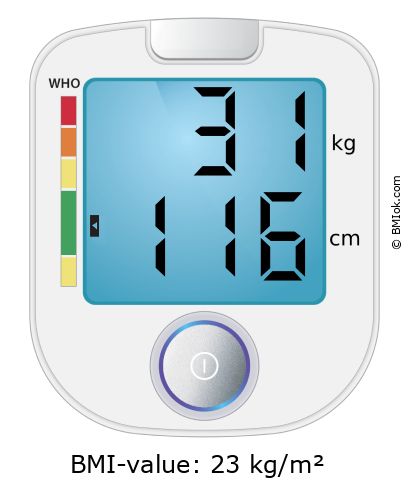 BMI 31 kg and 116 cm on the BMI calculator