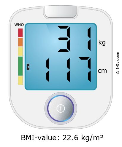 BMI 31 kg and 117 cm on the BMI calculator