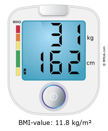 BMI 31 kg and 162 cm on the BMI calculator