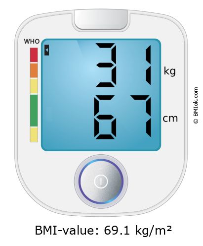 BMI 31 kg and 67 cm on the BMI calculator