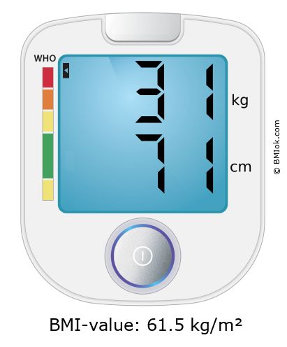 BMI 31 kg and 71 cm on the BMI calculator