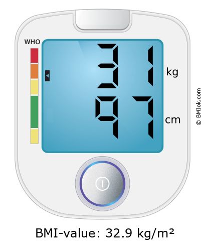 BMI 31 kg and 97 cm on the BMI calculator