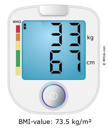 BMI 33 kg and 67 cm on the BMI calculator