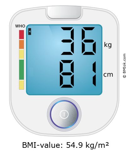 BMI 36 kg and 81 cm on the BMI calculator