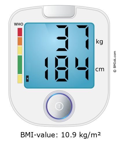 BMI 37 kg and 184 cm on the BMI calculator
