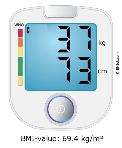 BMI 37 kg and 73 cm on the BMI calculator
