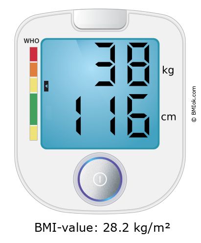 BMI 38 kg and 116 cm on the BMI calculator