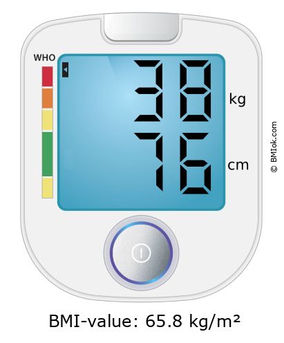 BMI 38 kg and 76 cm on the BMI calculator