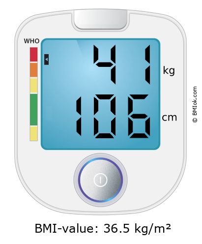 BMI 41 kg and 106 cm on the BMI calculator