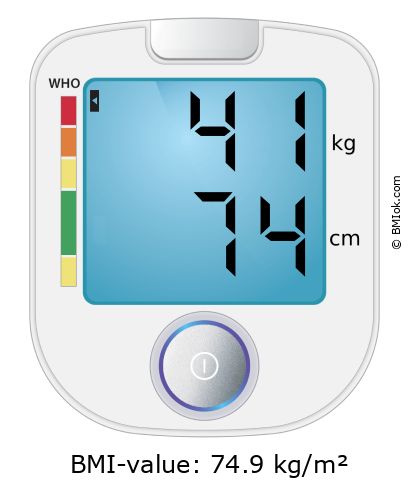 BMI 41 kg and 74 cm on the BMI calculator