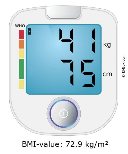 BMI 41 kg and 75 cm on the BMI calculator