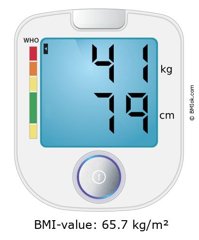 BMI 41 kg and 79 cm on the BMI calculator
