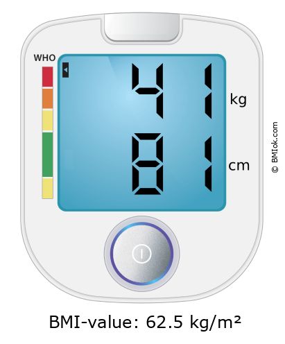 BMI 41 kg and 81 cm on the BMI calculator