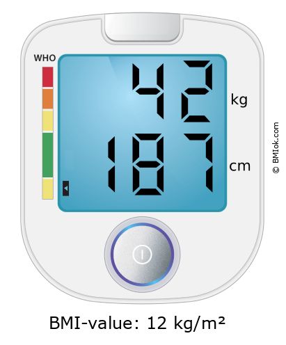 BMI 42 kg and 187 cm on the BMI calculator