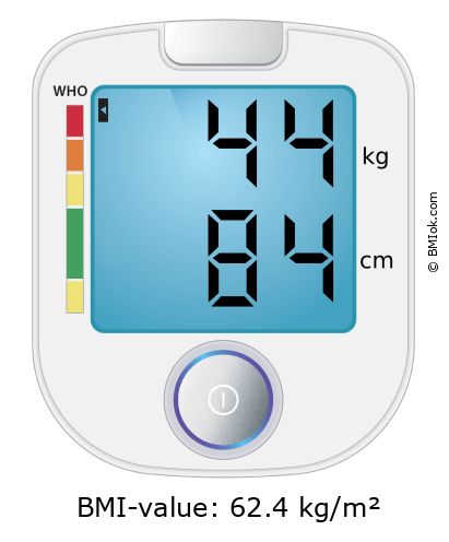 BMI 44 kg and 84 cm on the BMI calculator