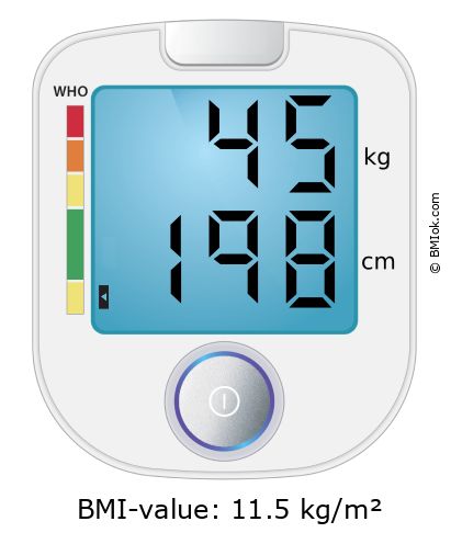 BMI 45 kg and 198 cm on the BMI calculator