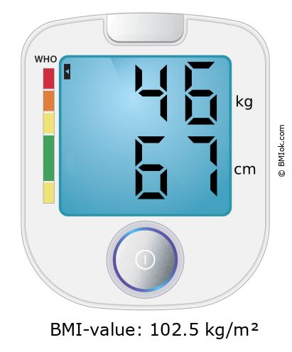 BMI 46 kg and 67 cm on the BMI calculator
