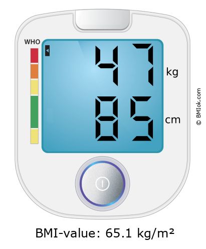 BMI 47 kg and 85 cm on the BMI calculator