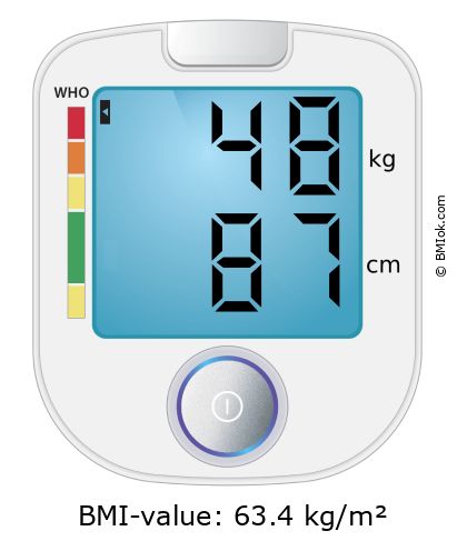BMI 48 kg and 87 cm on the BMI calculator